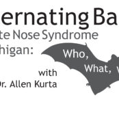 Hibernating Bats & White Nose Syndrome in Michigan: Who, What, Where?