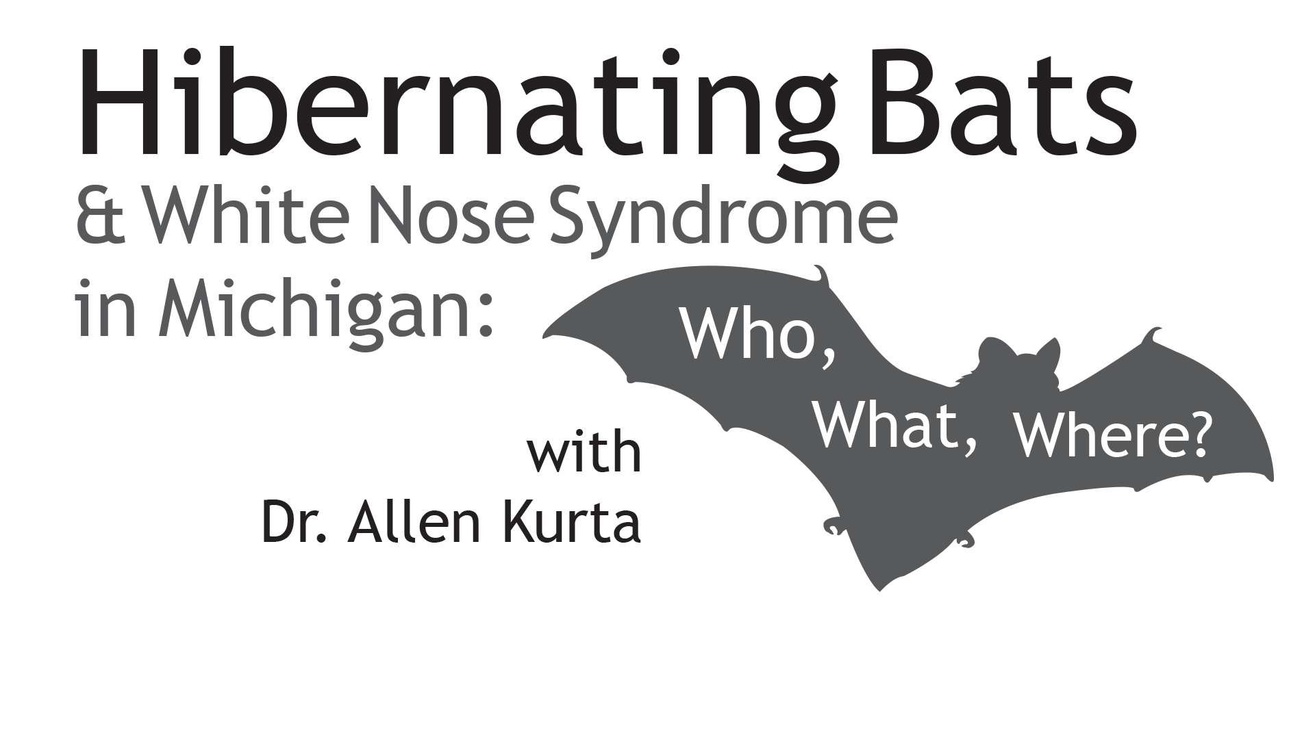 Hibernating Bats & White Nose Syndrome in Michigan: Who, What, Where?