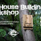 Bat House Building Workshop - Collaboration with ZSU
