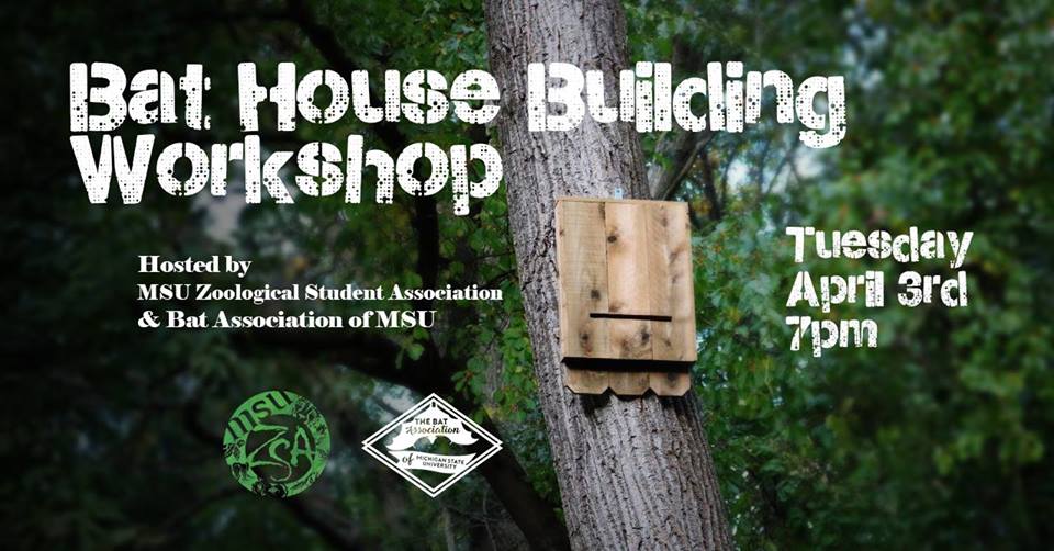 Bat House Building Workshop - Collaboration with ZSU