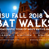 MSU Fall 2018 Bat Walks - Collaboration with ZSA