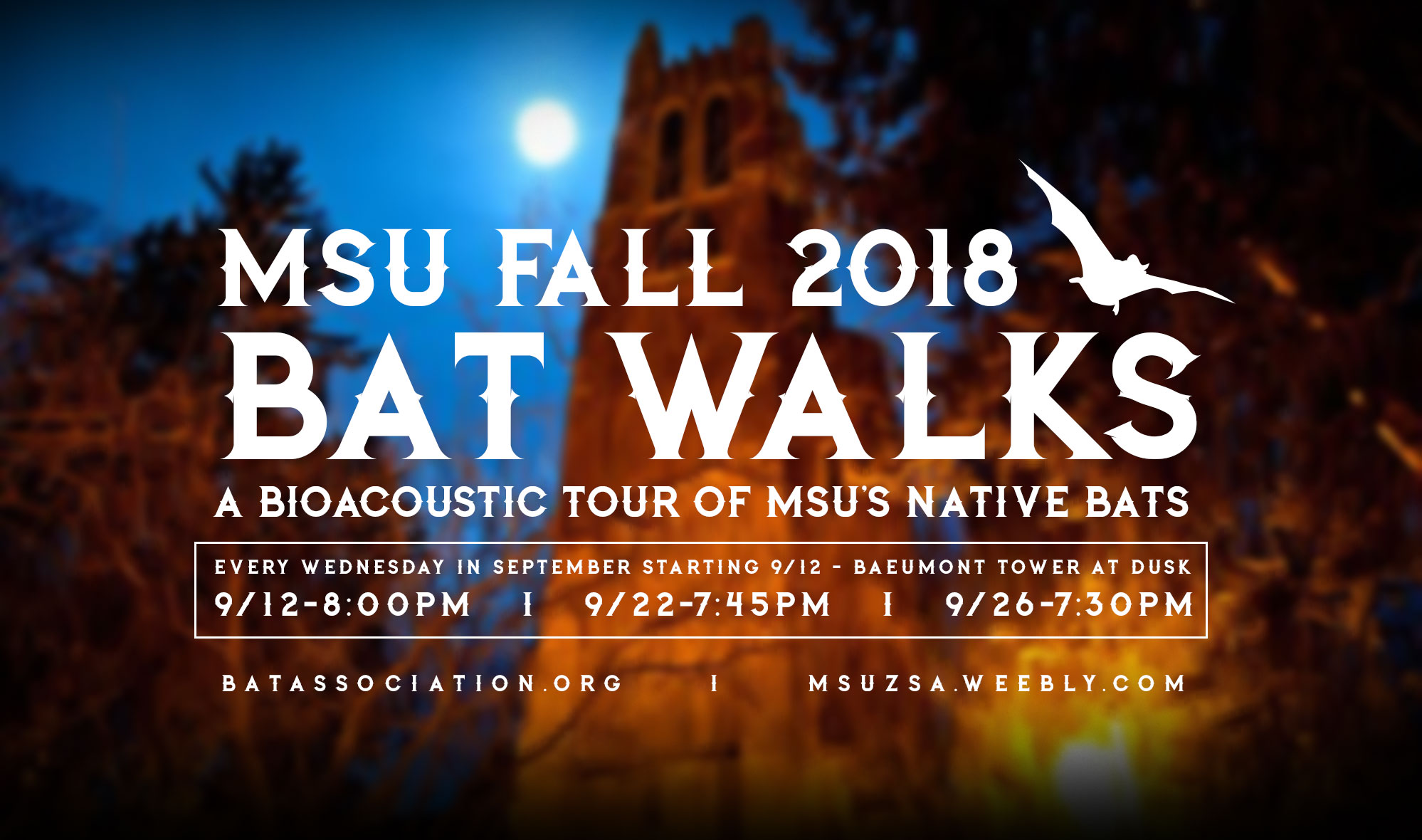 MSU Fall 2018 Bat Walks - Collaboration with ZSA