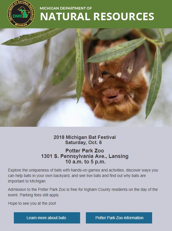 Great Lakes Bat Festival