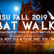Fall 2019 Bat Walks - A Bioacoustic Tour of MSU's Native Bats