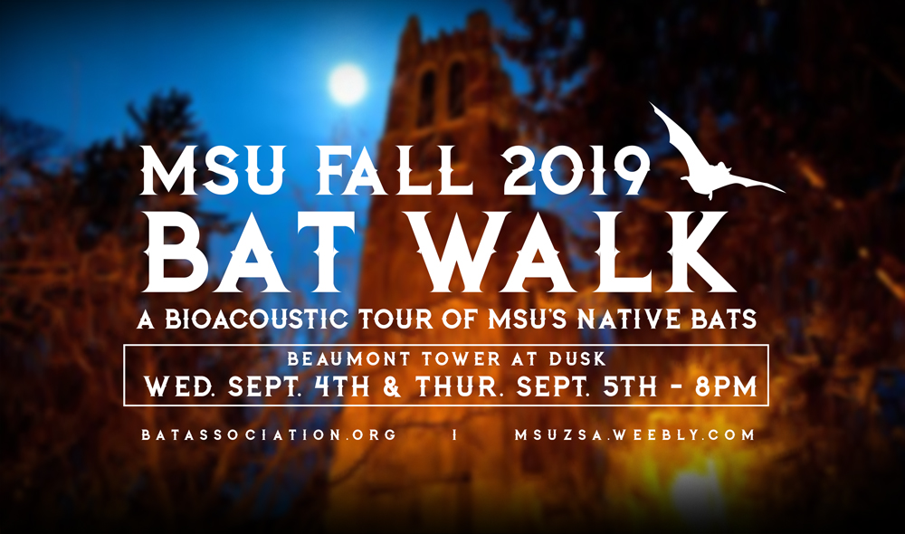 Fall 2019 Bat Walks - A Bioacoustic Tour of MSU's Native Bats