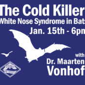 The Cold Killer: White Nose Syndrome in Bats