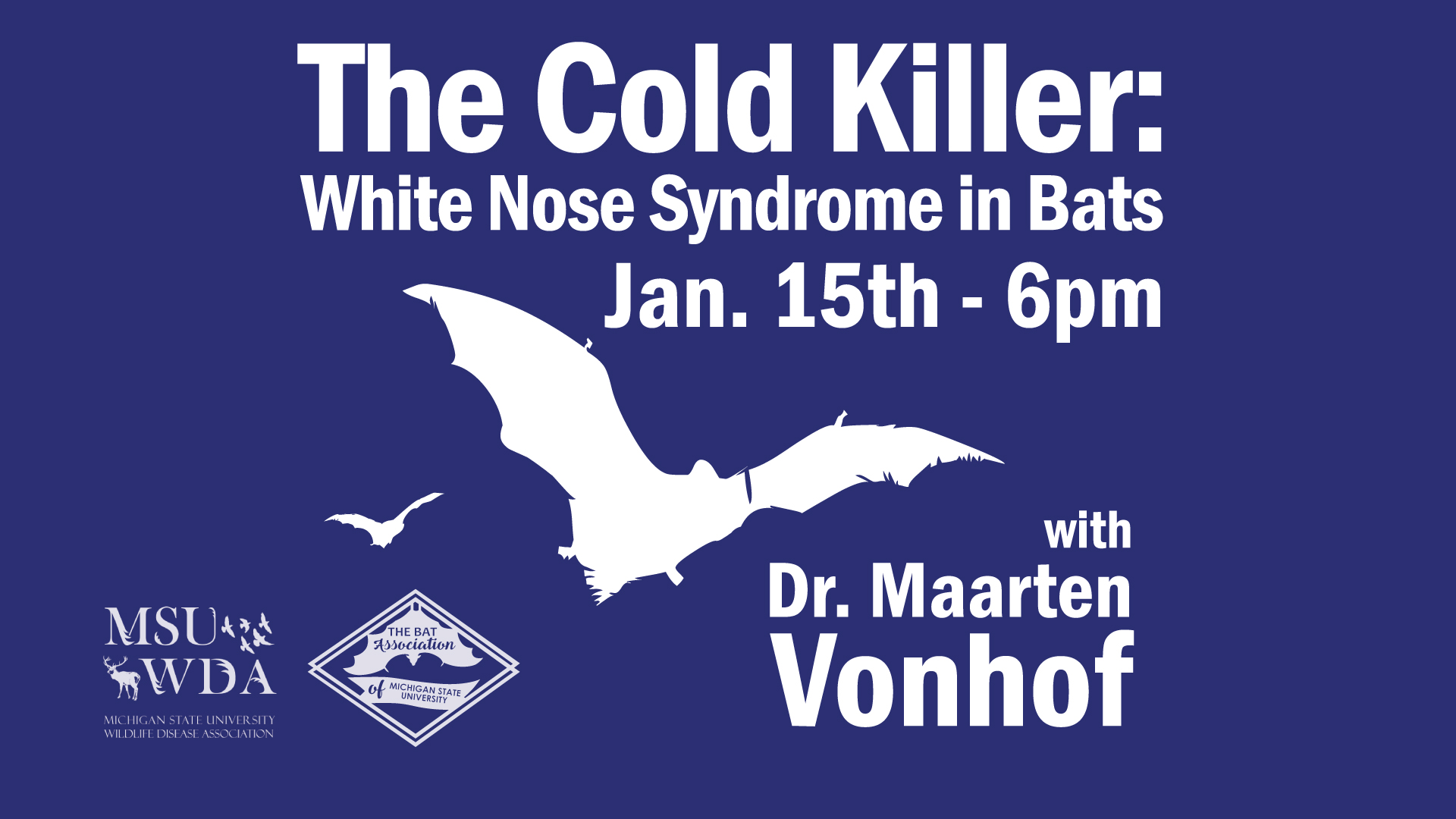 The Cold Killer: White Nose Syndrome in Bats