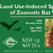 Land Use-Induced Spillover of Zoonotic Bat Viruses