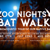 Zoo Nights Bat Walk