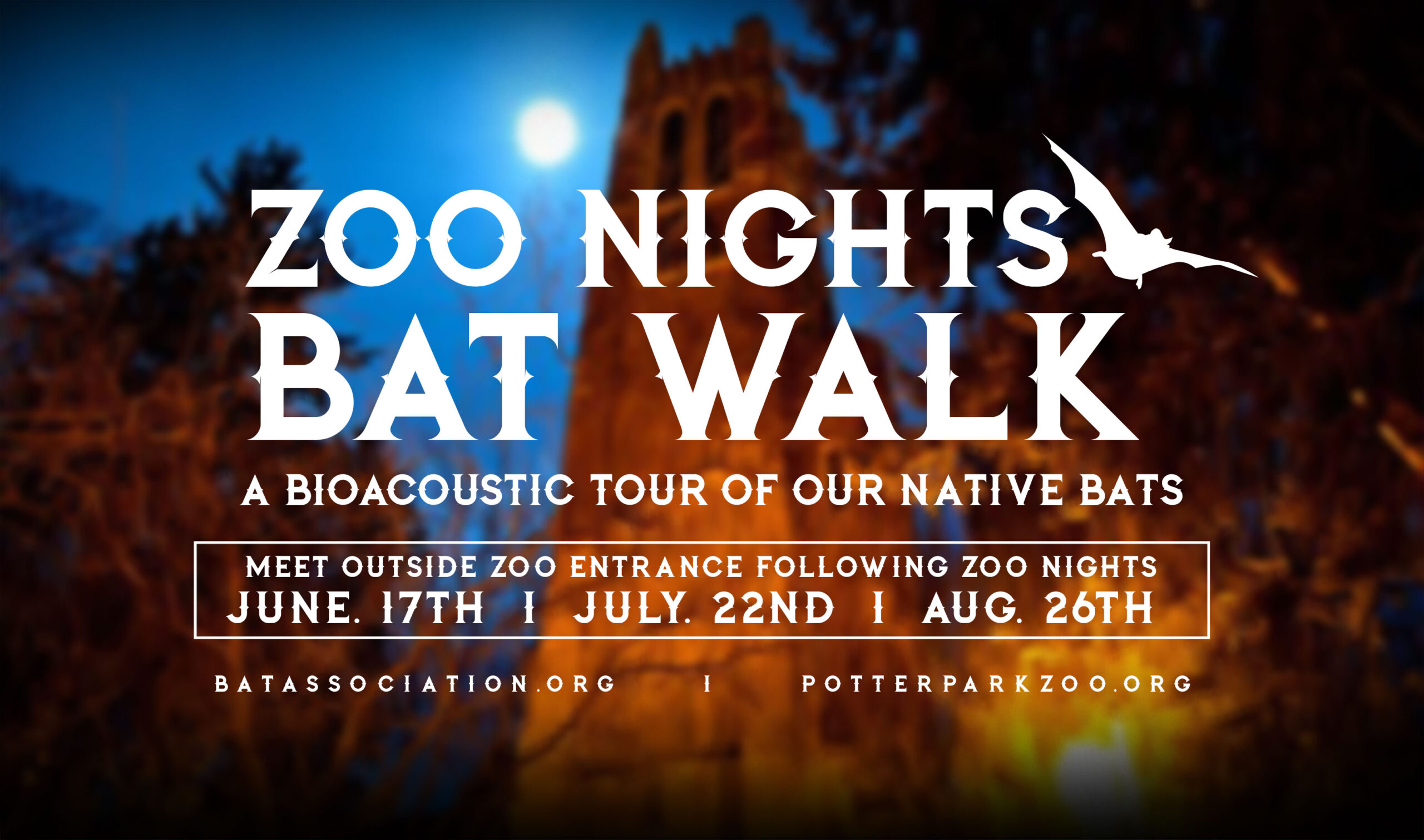 Zoo Nights Bat Walk