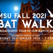 September 14th Bat Walk at Beaumont Tower