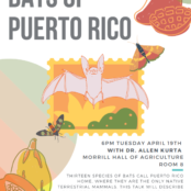 Bats of Puerto Rico